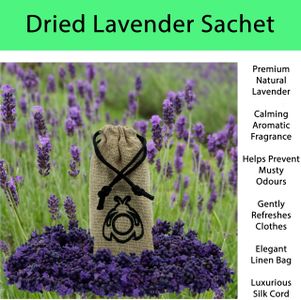 MothOut Clothes Moth Traps 10-Pack – Carpet Trap, Lavender Freshener, Glowing Pads