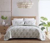 Tommy Bahama Reversible Cotton Bedding with Matching Shams, Soft Coastal Bedspread, All Season Home Decor, Green, King