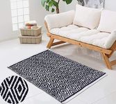 Wayfair Rugs Under 250