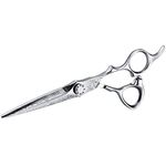 Hairdresser Scissors