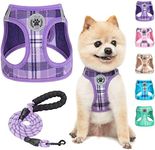 BEAUTYZOO Small Dog Harness and Lea