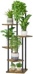 LyTaispuly 6 Tier Tall Corner Plant