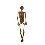 5ft (150cm) Full Body Halloween Mummified Skeleton Decoration with Posable Joints - Large Lifesize Plastic Skeleton for Indoor/Outdoor Halloween Decorations, Spooky Scary Skeleton Halloween Decor