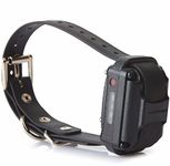 Educator Additional Receiver and Collar for Pro Advanced Dog Training Collar System, Black