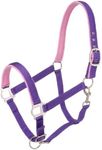 Tough 1 Nylon Padded Halter with Satin Hardware, Purple, Yearling