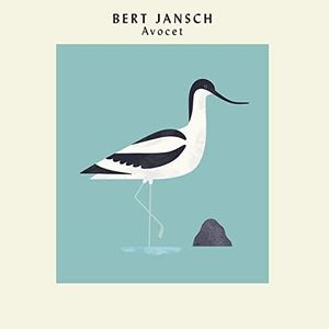 Avocet (Ex