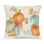 RABUSOFA Fall Decorations Pillow Covers 18x18 inch,Autumn Outdoor Pillows Decorative Throw Pillows,Pumpkin Maple Leaf Pillow Cases Hanksgiving Harvest for Couch Fall Decor