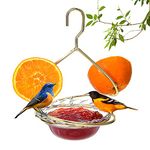 Hanizi Metal Hanging Oriole Bird Feeder with Fruit Holder Removable Drink Plasic for Garden Patio Outside 7 oz