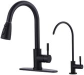 Black Kitchen Faucet and Water Filt