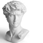 YiYFiT Resin Bust Statue Figurine,6”15cm Greek Mythology David Bust Sculpture figurine for Home Ornament Office Bookshelf Decor Sketch Practice DIY Art Gift-David