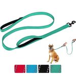 Aepeasti Dog Leash for Medium to Large Dogs with Two Padded Handles 5FT/6FT, Double Handle Dog Leash, Reflective Training Lead, Durable Traffic Leashes(5FT,Green)