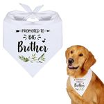 Promoted to Big Brother Dog Bandana, White Pet Scarf Pregnancy Announcement Dog Bandana Baby Dog Gender Revealing Photo Props Accessories