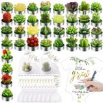 AIXIANG 36 Styles Succulent Candles Cactus Candles Tea Lights Candles Baby Shower Favors for Guests +50 Bags +50 Pcs Watch me Grow Thanks Tags Baby Shower Candle Favors