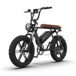 aostirmotor 750W 20 Inch Fat Tire Electric Bikes for Adults E-Bike 48V 13AH Removable Battery Electric Mountain Bike 25MPH Front Suspension Fork Electric Snow Bicycles Shimano 7 Speed