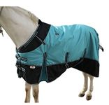 Majestic Ally 600 D Ripstop Nylon Horse Turnout Blanket with Waterproof, Heavyweight Coverage, Rain and Weather Resistant for Fall, or Cold Winter Weather, 250 GSM Fill (Turquoise Black, 80 - Inch)