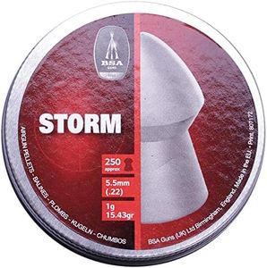 BSA Storm 