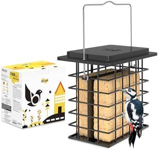 iBorn Suet