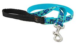 LupinePet Originals 3/4" Turtle Reef 6-Foot Padded Handle Leash for Medium and Larger Dogs