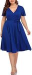 Pinup Fashion Plus Size Blue Dresse