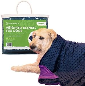 BARMY Weig