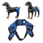 Dog Knee Brace, Leg Brace Ligament Injury Joint Pain and Muscle Sore Adjustable Rear Support for Knee Cap Dislocation Pet Knee Brace Recommended for Dog (HJ27 rear legs blue)