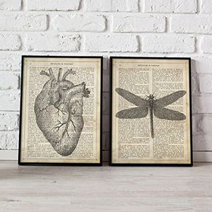 Nacnic set di 2 stampe artistiche con rappresentazione di una libellula su sfondo con carta di giornale con impressa la definizione in ligua spagnola di libertà e di un cuore