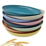 CAMBUY Wheat Straw Plates Lightweight Unbreakable Dinner Dishes Plates Set Dishwasher & Microwave Safe (Extra Large 8 Pack 10')