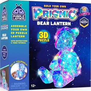 PURPLE LADYBUG PRISMIC Build a Bear 3D Puzzle DIY Crafts for Teens - Gifts for 10-12-16 Year Old Girls and Boys Birthday Gifts, Teen Girl Gifts, Christmas Crafts for Kids, Teenage Girl Room Decor