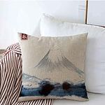 Throw Pillow Square Covers Work Fuj