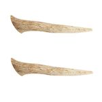 Ace Antlers Deer Antlers for Dogs (2 x Medium Pieces) - Natural Dog Antler Chews for Chewing Satisfaction - 8 Sizes inc Small, Medium and Large Antlers for Puppies and Adult Dogs