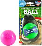 Ruff Dawg Ball Solid Rubber Dog Toy Small Assorted Neon Colors