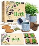 4 Herb Garden Starter Kit Indoor: C