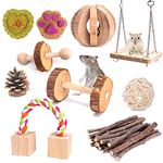 LLGLEU Hamster Chew Toys, 10 Pcs Natural Wooden Dumbbells Seesaw Pet Molar Teeth Care Set for Guinea Pig Gerbil Rats Chinchillas Ferret Parrot Bunny Rabbits Small Animals Treats (Style 1)