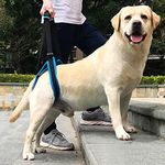 Mobility Aid For Dogs