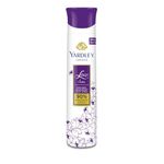 Yardley London Lace Satin Perfumed Deodorant Body Spray| Fresh Floral Scent| 90% Naturally Derived| Deo Spray| Body Deodorant for Women| 150ml