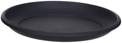 Whitefurze G01RS25 29cm Milano Sauc