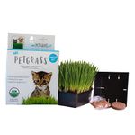 Mini Organic Pet Grass Kit - Grow Wheatgrass for Pets: Dog, Cat, Bird, Rabbit, More - includes Trays