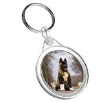 Destination Vinyl Keyrings 1 x American Akita Puppy Exotic Dog - Keyring IR02 Mum Dad Birthday #15711