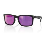 Carve Goblin Sunglasses - Matte Black / Revo