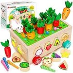 BAYSING Montessori Toys for 2,3,4 Y