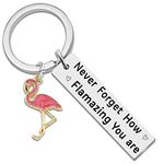 Flamingo Gifts For Women Flamingo Keychain For Daughter Sister Friends Girls -Never Forget How Flamazing You Are-Flamingo Gift Inspirational Gifts Kawaii Keychain Animal Lover Pink Flamingo Bird, Silver, Small