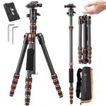 K&F Concept 60 inch Carbon Fiber Camera Tripod,Lightweight Compact Tripod with 360 Degree Ball Head,Quick Release Plate,Detachable Monopod 17.64lbs Load Capacity for SLR DSLR A225C0+BH-25L