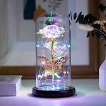 Crafttime Glass Preserved Eternal Rose, Birthday Gifts for Women, Artificial Colorful Rose with Led Light, Beauty and The Beast Dome, Mother's Day Birthday Gifts from Daughter （Colorful）