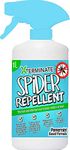 Xterminate Spider Repellent 1 Litre Spray for Indoor/Outdoor Use Suitable for CCTV Cameras, Doors and Windows. Super Strength Natural Peppermint Oil. Repels and Deters Spiders From Entering Homes