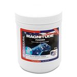 Equine America Magnitude Powder 908G