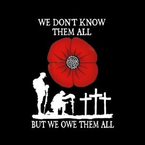 Mandydy Red Poppy We Owe Them All Car Sticker Best Gifts for Veteran, Cars Trucks Bumper Walls Window Decal Vinyl Sticker, Waterproof Remembrance Day Memory Gift Flower Decal 3 Sizes (S)