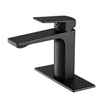 Black Bathroom Faucet Single Handle Bathroom Sink Faucet, RV Bathroom Vanity Sink Faucets with Deck Plate and Faucet Supply Lines, 1 or 3 Hole