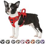 SlowTon No Pull Dog Harness, Heavy Duty No Choke Pet Harness with 2 Leash Clips and Easy Control Vertical Handle, Adjustable Soft Padded Dog Vest for Small, Medium and Large Dogs(Red,M)