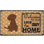 Job Site 54149 Natural Coir Door Mat-Loud Crazy Fun Home, Multi