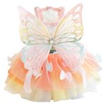 Anelekor Rainbow Butterfly Dog Dresses for Small Dog Girl Puppy Lace Tutu Princess Dress Cat Outfit Pet Butterfly Costume for Kitten Chihuahua Yorkie Pomeranian (Pink, Small)